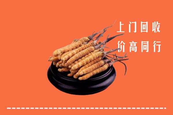高价求购：湖口县回收散虫草