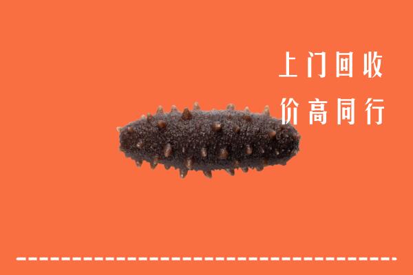 高价求购：湖口县回收海参