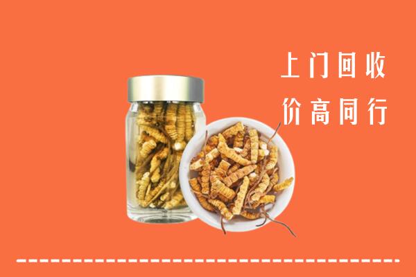 湖口县高价回收冬虫夏草
